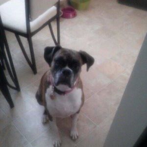 Meet your Posher, Brandy